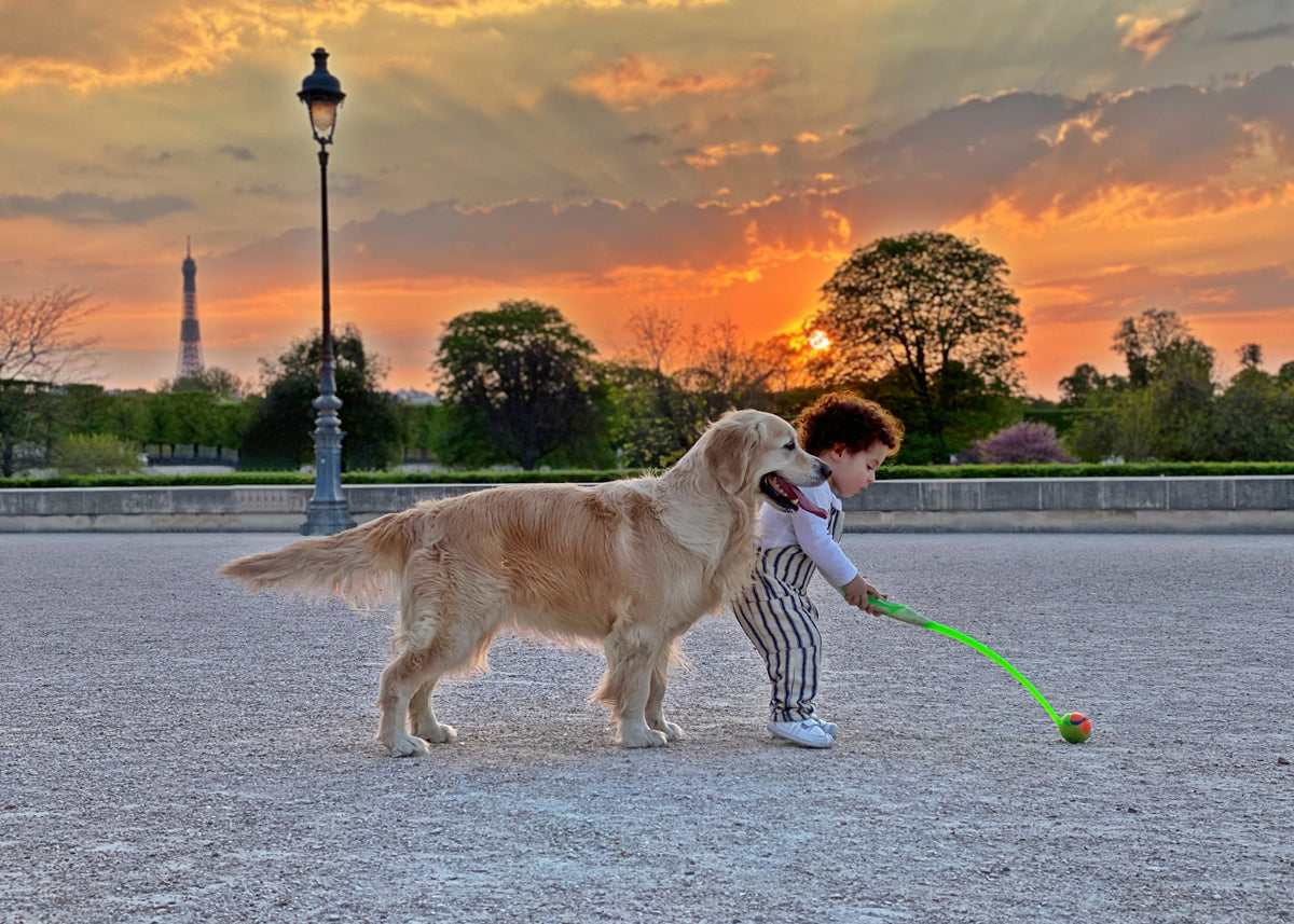 Atardecer en el jardín
