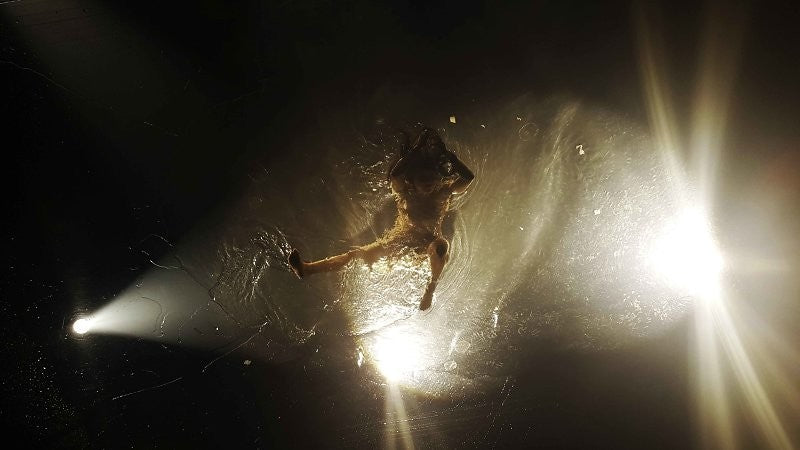 Fuerza Bruta 1