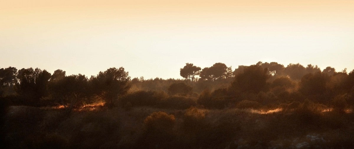 La Atmosfera de Cezanne