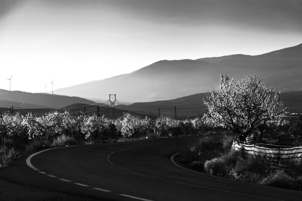 Supervivientes_9