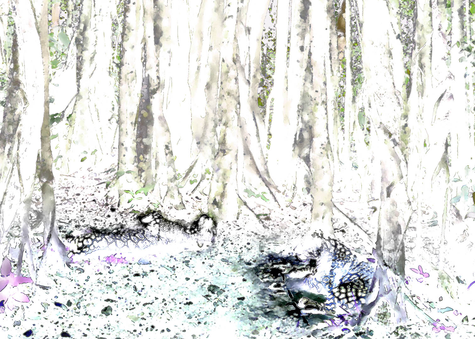Al Amparo de la Selva