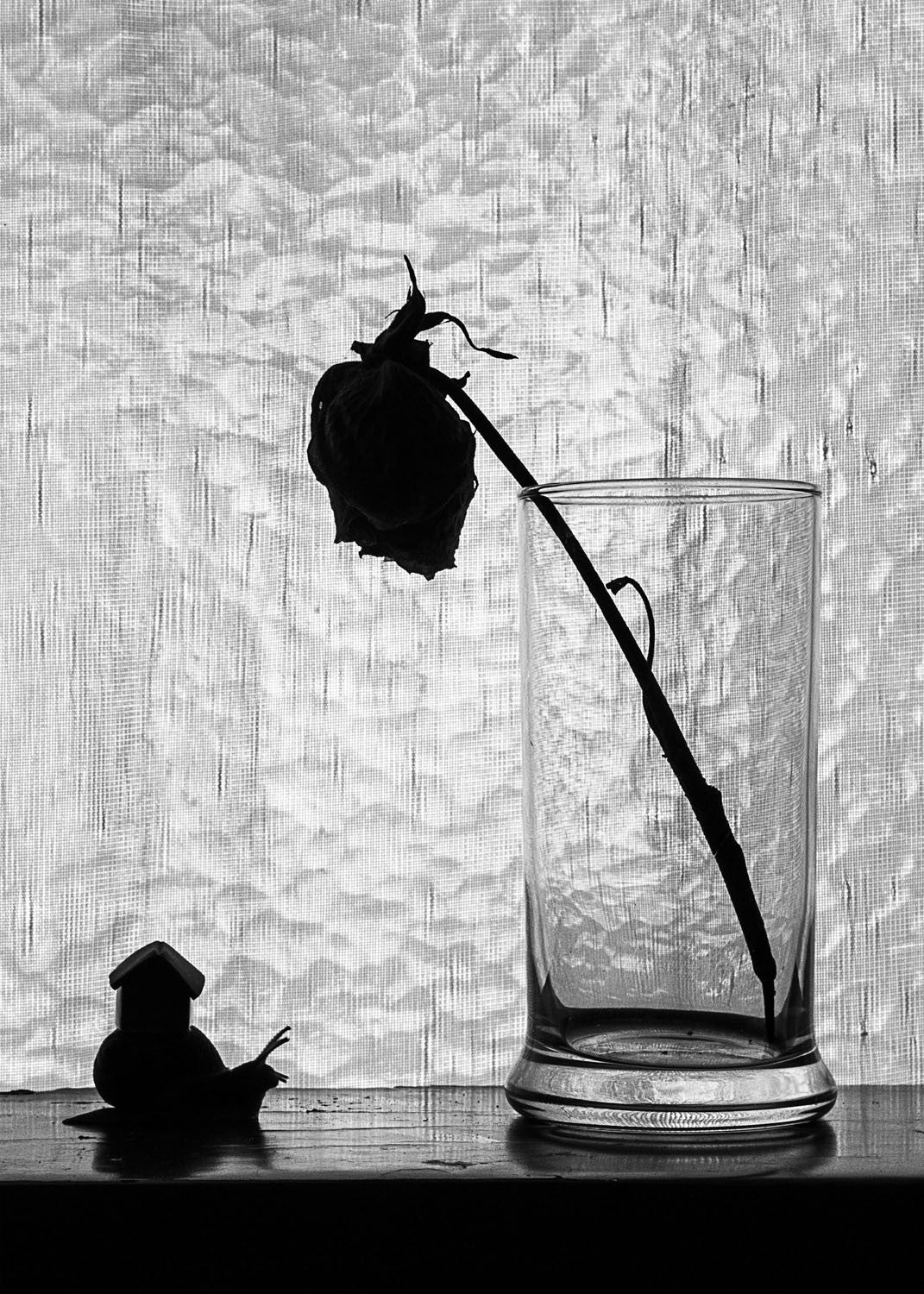Conversaciones sobre nostalgia