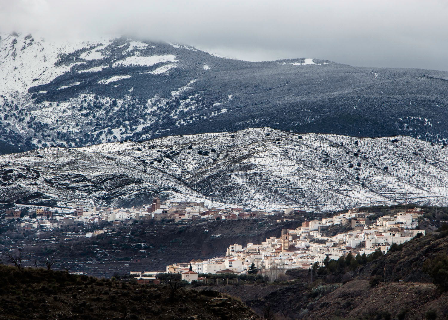 Entre nieves