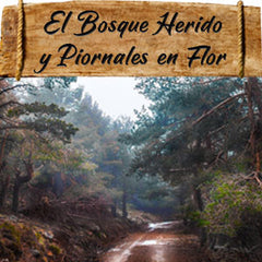 Sendero de alta montaña en Sierra Nevada